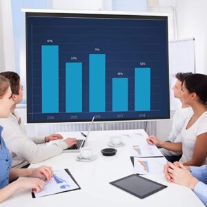 Manual Projector Screen