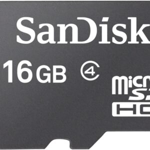 SanDisk 16 GB Class 4 micro SDHC Flash Memory Card
