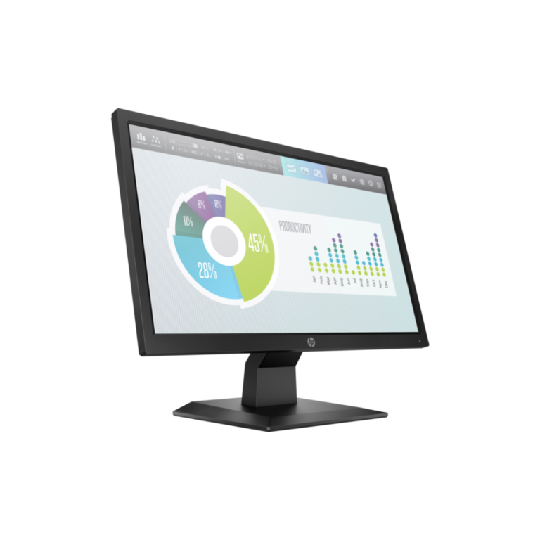 HP P204v 19.5 inch HD Monitor