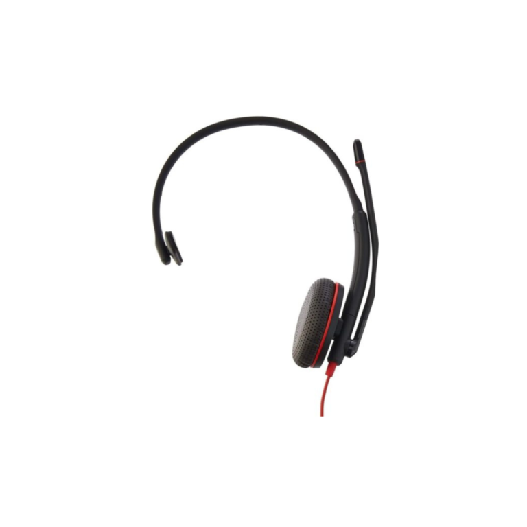 Plantronics Blackwire C3215 USB-C Headset