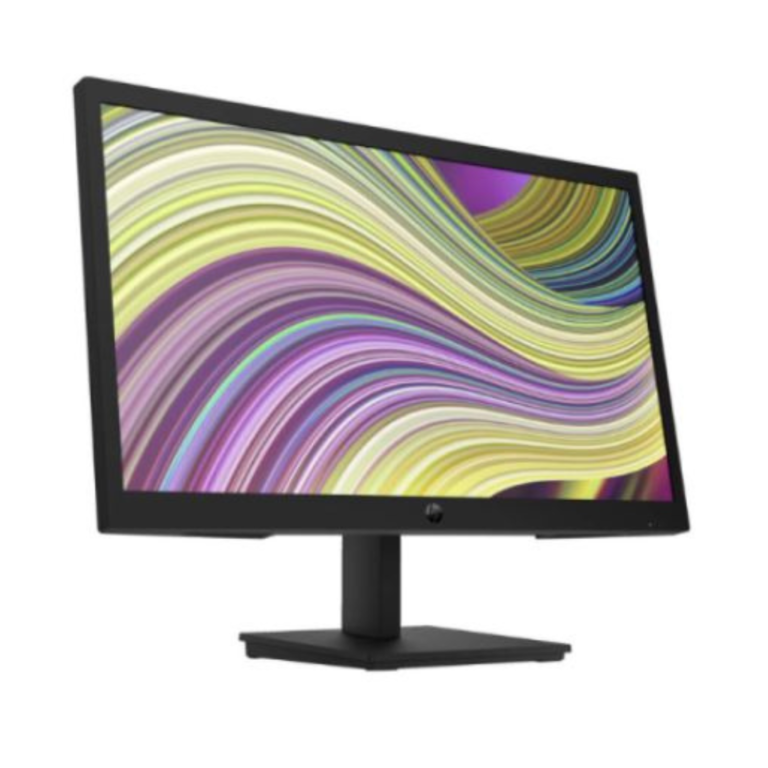 HP P22v G5 FHD Monitor