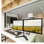 Dual arm Monitor Stand for Desk 13"-30"