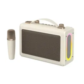 Havit SK823BT Wireless Portable Karaoke Bluetooth Speaker