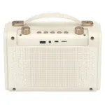 Havit SK823BT Wireless Portable Karaoke Bluetooth Speaker
