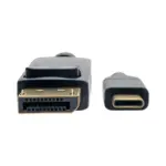 USB 3.1 Type C Male to DisplayPort