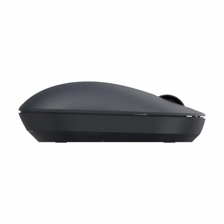 Xiaomi Mouse Lite 2